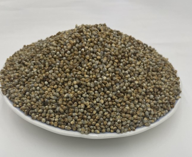 Whole Bajra (Pearl Millet)